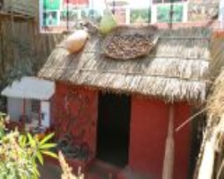 Meena Tribe