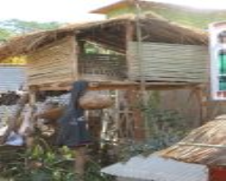 Meena Tribe