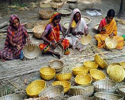 Bhoi Tribe