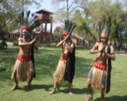 Putiya Tribe