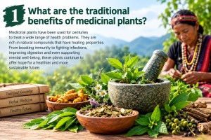Indigenous Medicinal Plants: Traditional Knowledge and Benefits