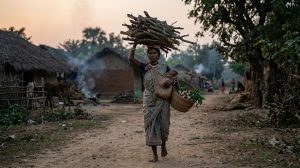 THE STRUGGLES OF INDIAN TRIBAL WOMEN