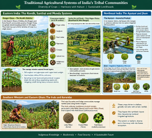Traditional Seeds and Tribal Farming in India