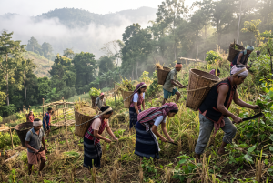 Karbi Tribe