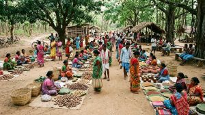 Development of Indigenous Society