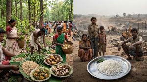 Tribal Food Heritage of India
