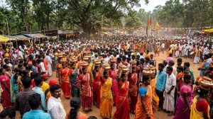 Tribal Festivals in India